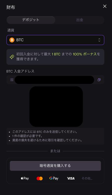 エボアイオー　Evo.io 　入金