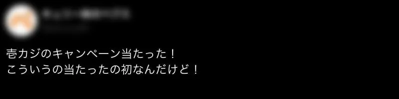 壱カジ口コミ・評判