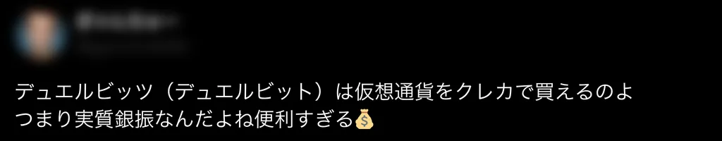 オンラインカジノ 口コミ 評判 デュエルビッツ