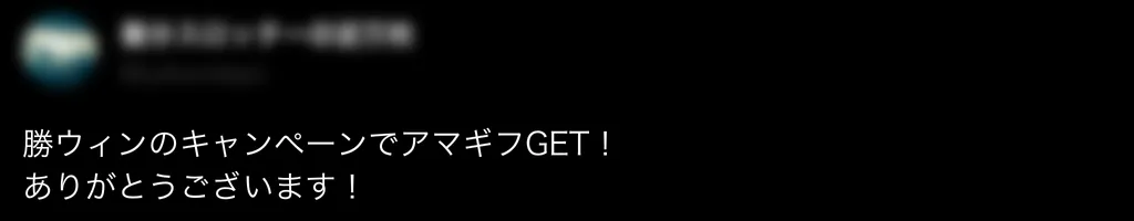 勝WINの良い評判4