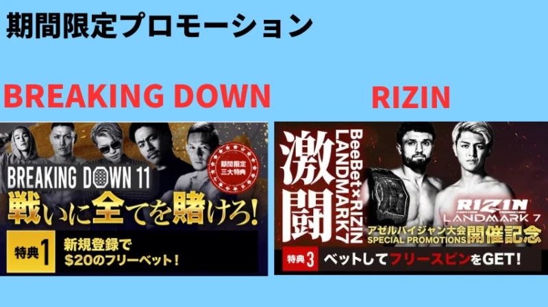 beebet(ビーベット)にはブレイキングダウンやRIZINなど格闘技へのすお