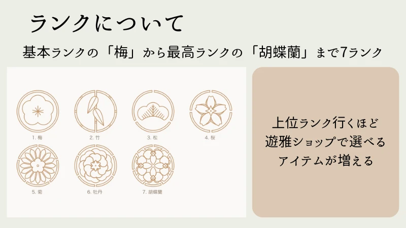 遊雅堂 VIPプログラム