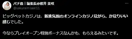 ビッグベット 口コミ評判