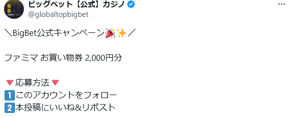 ビッグベットカジノ　SNSプロモーション