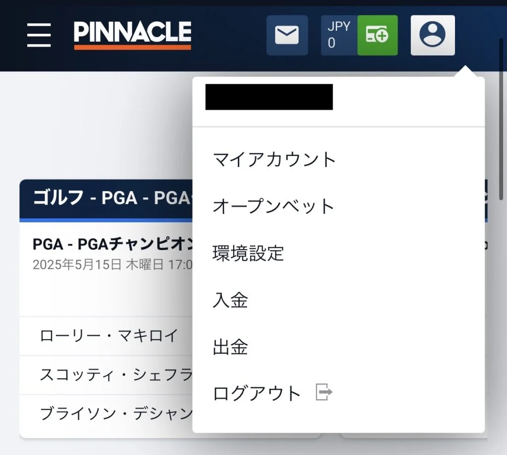 ピナクルスポーツ(Pinnacle) 出金手順