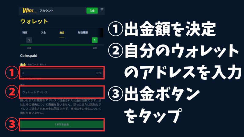 オンラインカジノ Winz.io ウィンズアイオー オンカジ